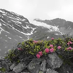 Penzion Am Rain