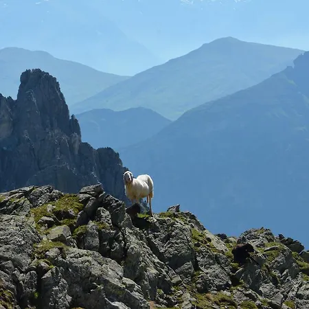 Am Rain 3* 노이스티프트임스튀바이탈