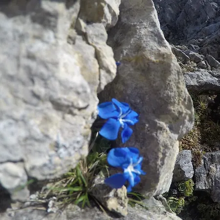 Am Rain 3* 노이스티프트임스튀바이탈