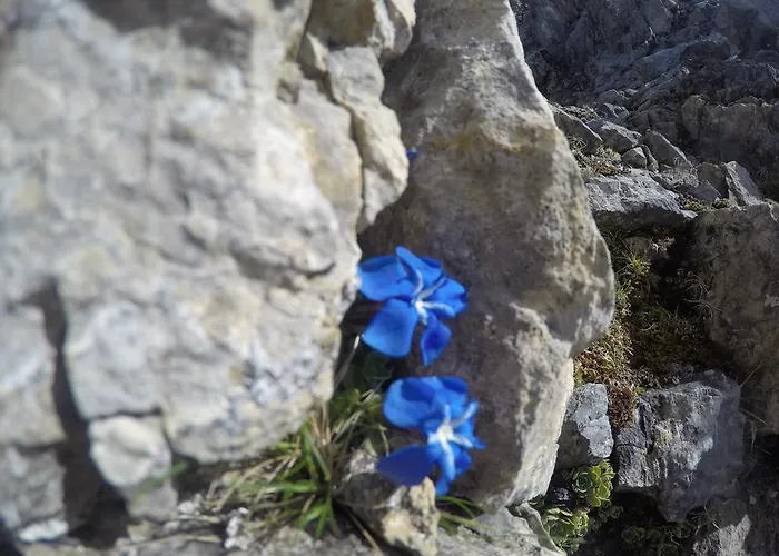 Am Rain 3* Neustift im Stubaital
